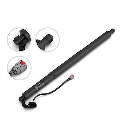Liftgate Lift Support (L), 29.69 Inch, 20-17 Chrysler