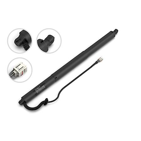 Liftgate Lift Support, 25.75 Inch, 21-17 Volkswagen