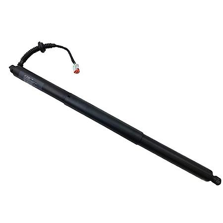Liftgate Lift Support, 25.51 Inch, 24-19 Ford