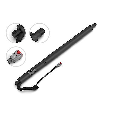 Liftgate Lift Support (L), 30.59 Inch, 19-13 Ford
